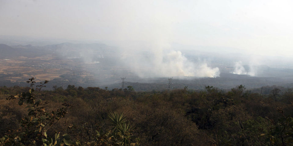 Ruta del Vino, a salvo de los incendios en Ensenada