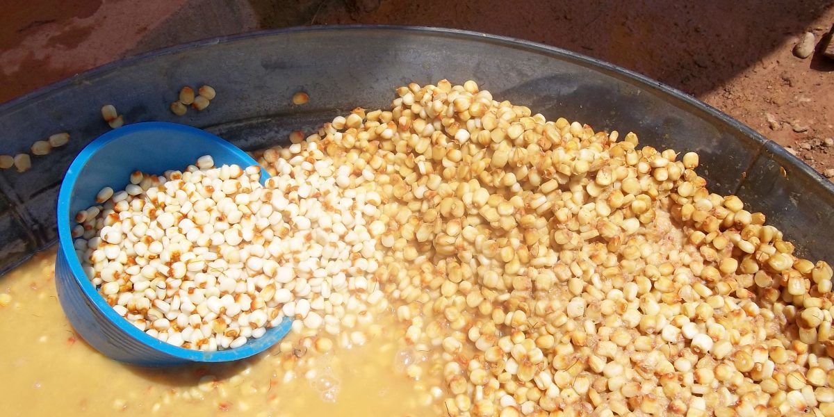 Cuando la nixtamalización trascendió al maíz y conquistó el mundo