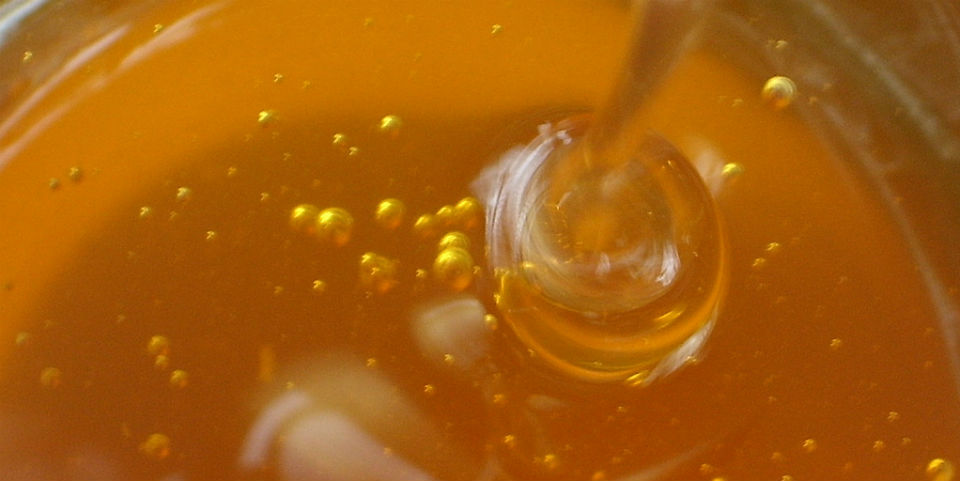 Han encontrado transgénicos en la miel proveniente de Yucatán.