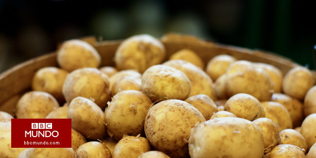 Alberto Salas, el "padrino" peruano que quiere salvar al mundo con la papa