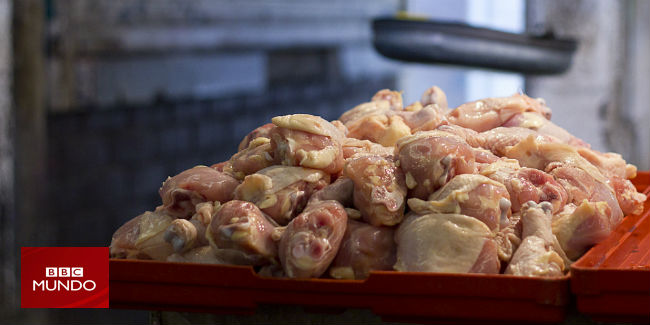 Advierten de los peligros de lavar el pollo