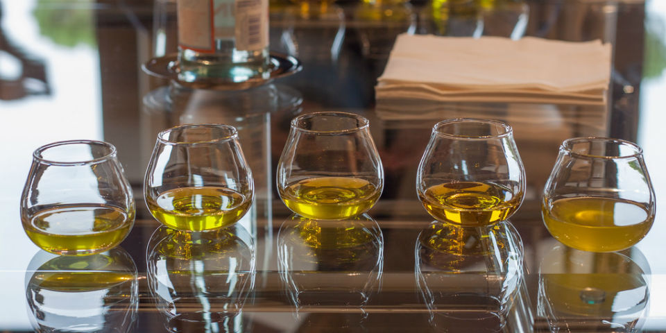 ¿Cómo hacer la cata de un aceite de oliva?