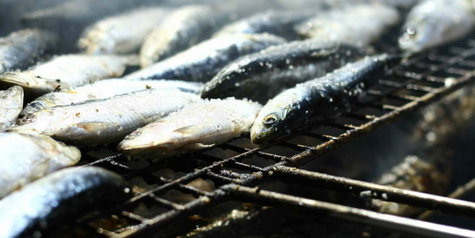 15 especies de pescado que debes probar (y cómo prepararlos)