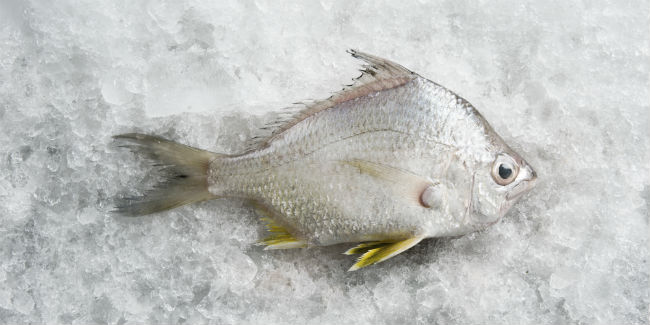 Los efectos de desayunar, comer y cenar pescado durante un año