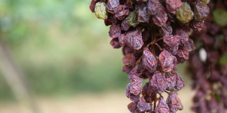 Poner las barbas a remojar...