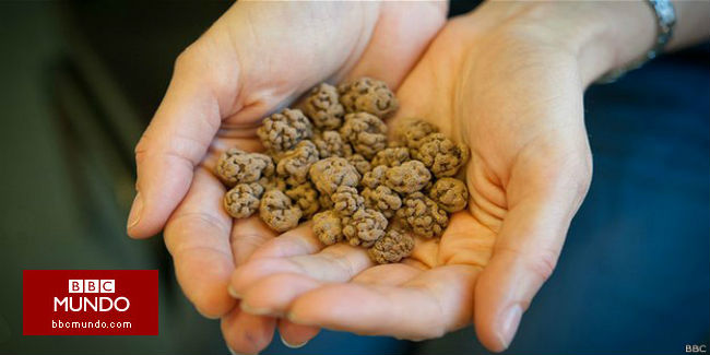 ¿Qué es el chocolate “crudo” y de verdad es más saludable?