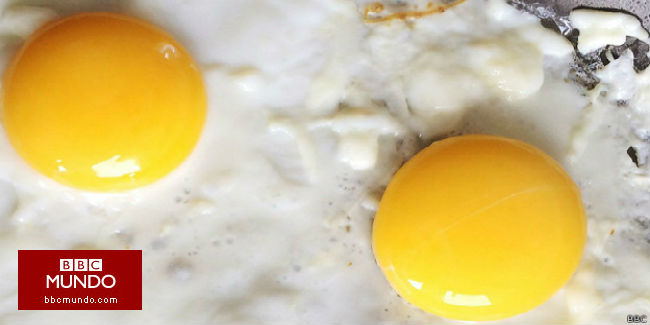 ¿Cómo puedes evitar intoxicarte con alimentos?