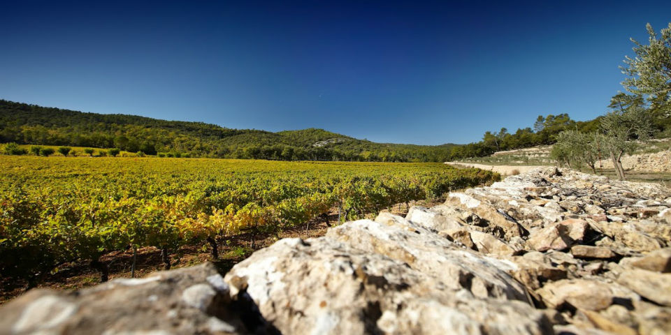 Miraval, el hijo vinícola de Brad Pitt y Angelina Jolie