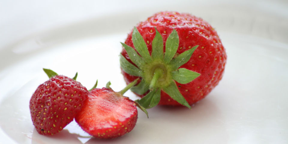 Los alimentos como nunca antes los habías usado