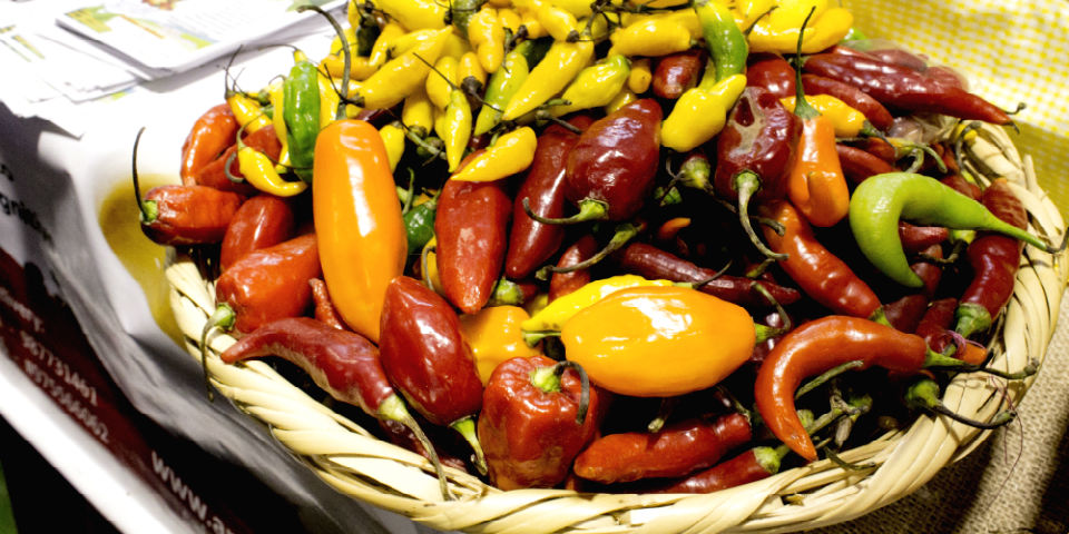 #Mistura2014 El encuentro de los chiles peruanos