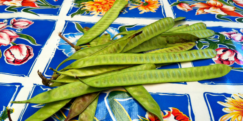 ¿Para comer? ¡Guajes! ¿Para servir? ¡Más guajes!