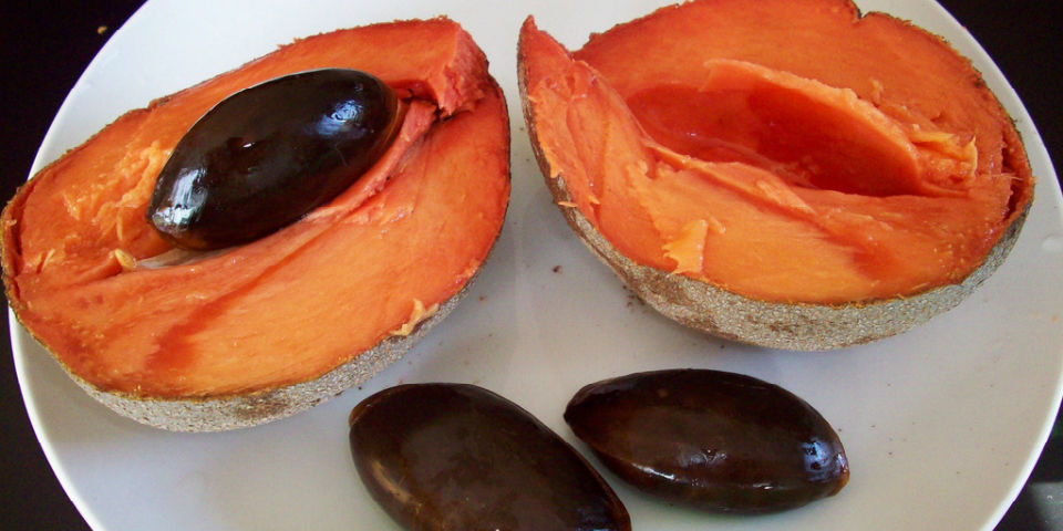 Las grandiosas propiedades del mamey