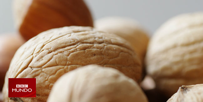 La nuez, el alimento más nutritivo y saludable