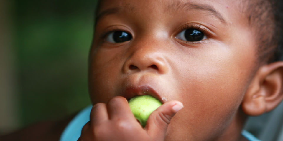 El paladar es la infancia
