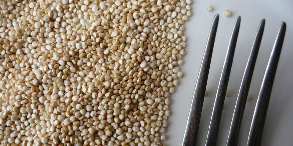 #RECETA Dos ensaladas con quinoa