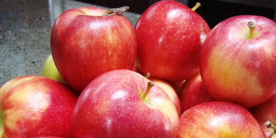 Alimentos que fortalecen el sistema inmune