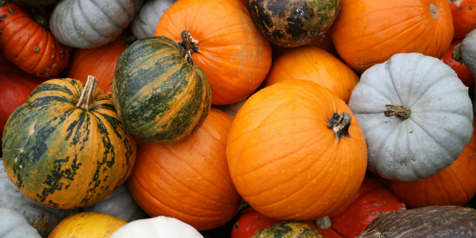 Te juzgué melón y me resultaste... calabaza