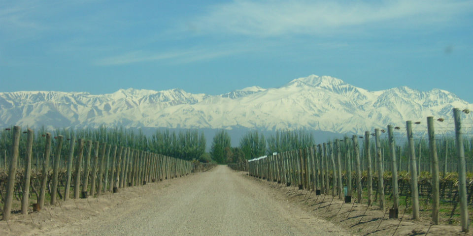Un viaje por el 'terroir' sudamericano en el siglo XVI