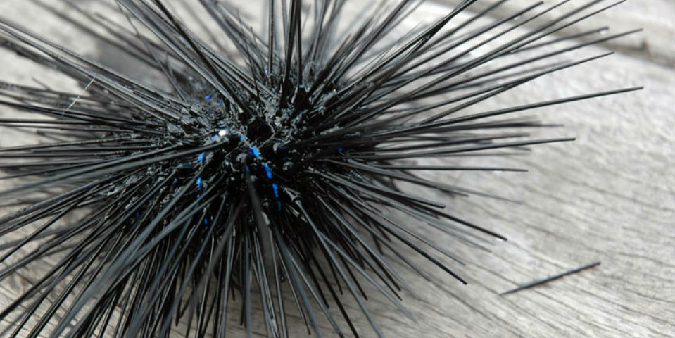 #RECETA El exquisito mousse de erizo