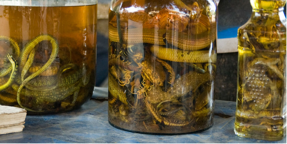 Los más extraños platillos fermentados