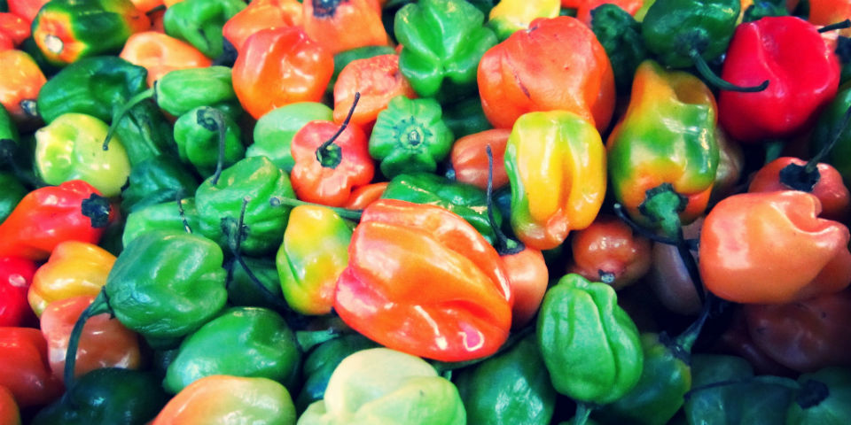 Un homenaje a los pilares de la cocina nacional: Millesimé MÉXICO