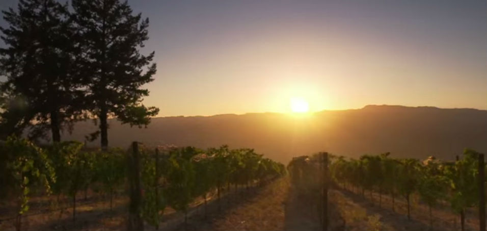 Películas deliciosas para ver en casa