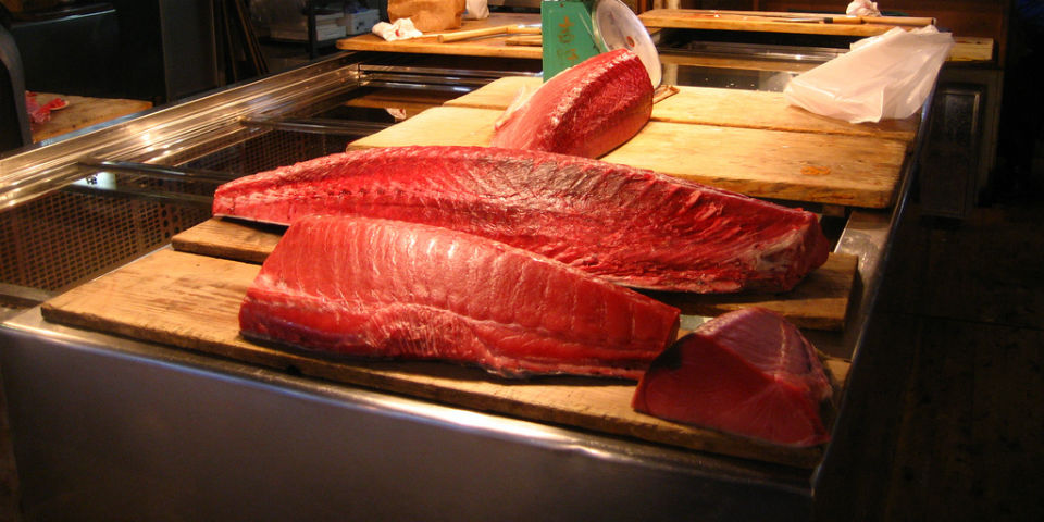 Las granjas atuneras de Ensenada