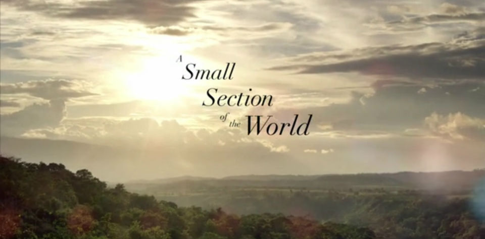 #VIDEO Las mujeres productoras del café