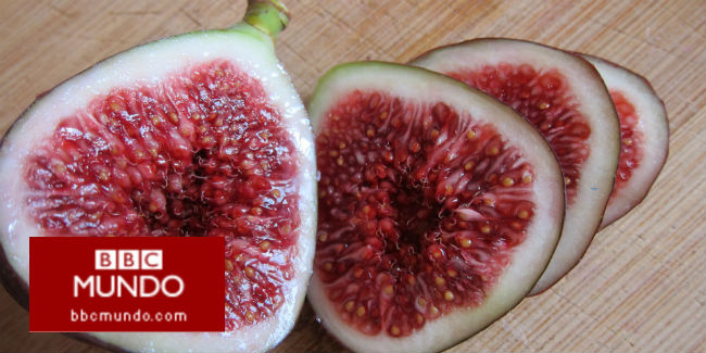 ¿Cuáles son las bondades de los higos?