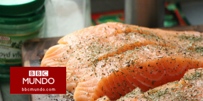 ¿Cuáles son las bondades del salmón (y otros habitantes del mar)?