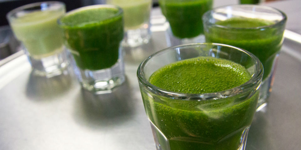 Smoothies deliciosos para comenzar bien el día, checa estas recetas