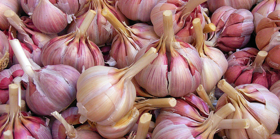 #50SaboresMexicanos Su majestad, el ajo