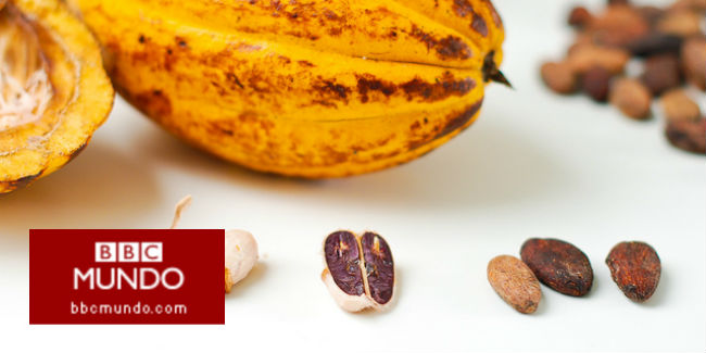 Cómo una cuarentena puede salvar el futuro del chocolate