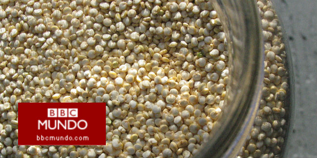 ¿Cuáles son las bondades de la quinua?