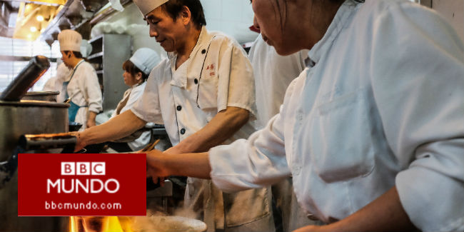 ¿Por qué cocinamos los alimentos y no los comemos crudos?