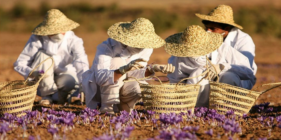PARABERE Forum Mejorar la gastronomía con la visión de las mujeres