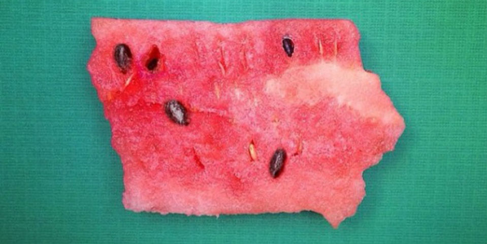 #FOTOGALERÍA Estados Unidos nunca fue tan delicioso