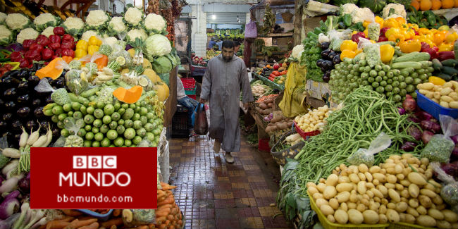 ¿Por qué está cayendo el precio mundial de los alimentos?