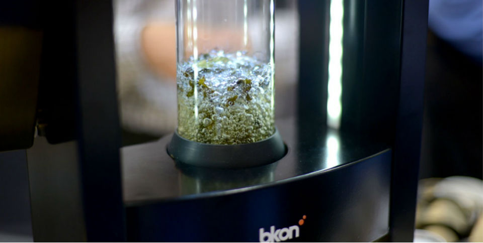 Es hora de disfrutar el té como nunca antes con BKON