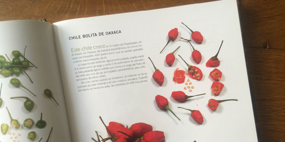 Los chiles de México, del achilito al zacalapeño, en un sólo libro