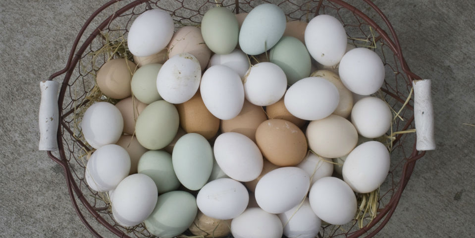 Por qué ha subido huevo