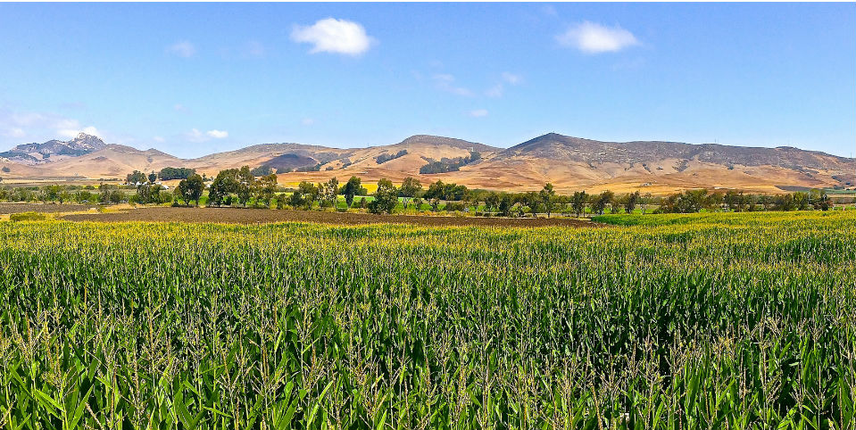 #50SaboresMexicanos La grandeza de nuestro país