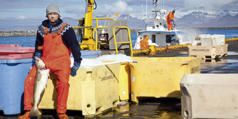 Para la cuaresma: bacalao de Islandia, un seco muy jugoso