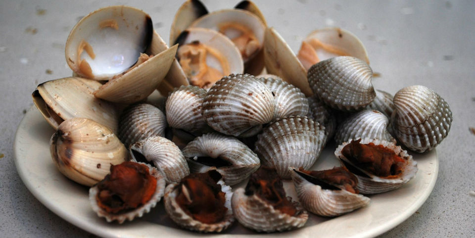 Del plato a la boca: Cómo comer correctamente algunos alimentos