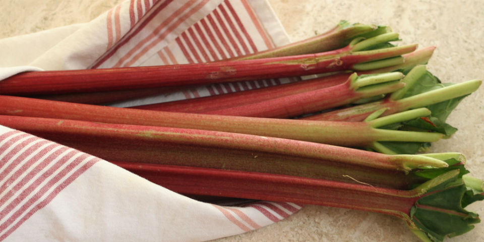 ¿Qué es y a qué sabe el ruibarbo?