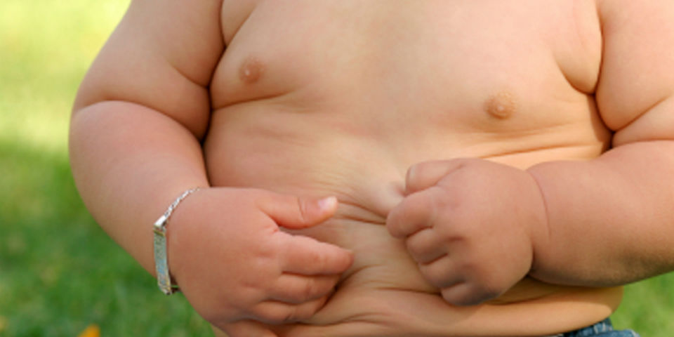 La obesidad podría dañar tu memoria