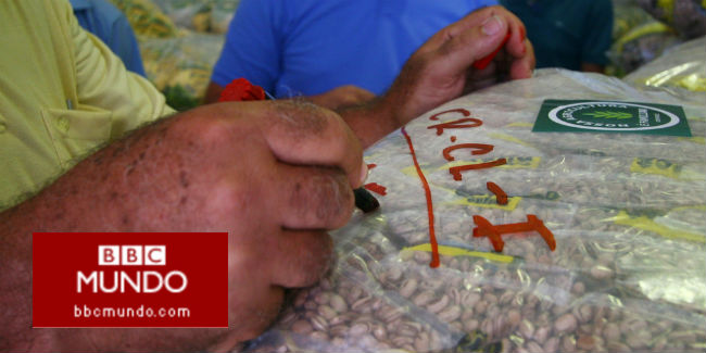 Cuánto puede afectar El Niño el precio de lo que comemos