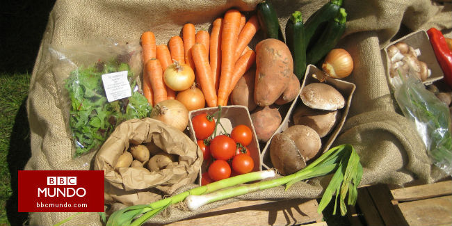 El hombre que consiguió que los supermercados en Francia no boten alimentos