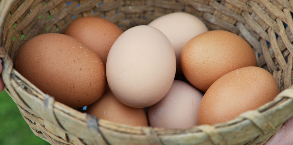 Come huevo sin temor al colesterol
