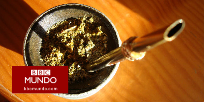 ¿Por qué dice la OMS que tomar mate puede dar cáncer?